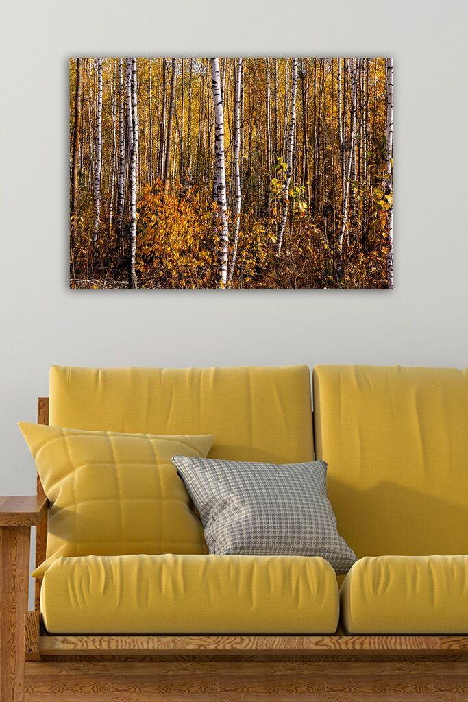 Wallity Сет Слики во Рамка 3SC_UN3848003 , 3 Дела