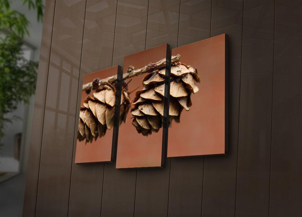 Wallity Сет Слики 5MDF4600, 5 Делови