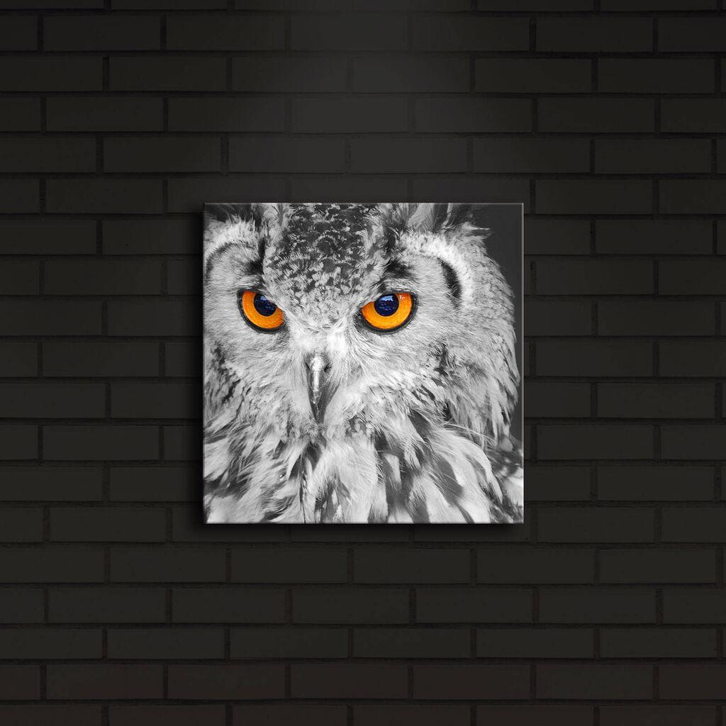 Wallity Слика 221JRS1145, 70x110 cm