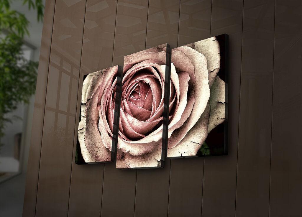 Wallity Сет Слики 5MX-12, 5 Делови