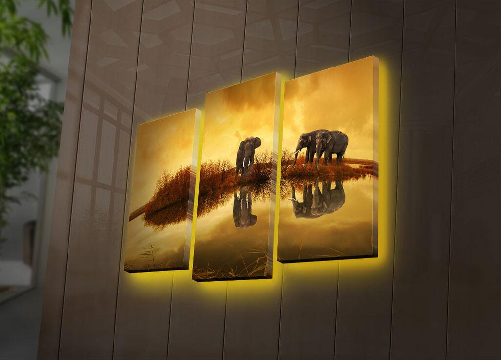 Wallity Сет Слики 5MDF4520, 5 Делови