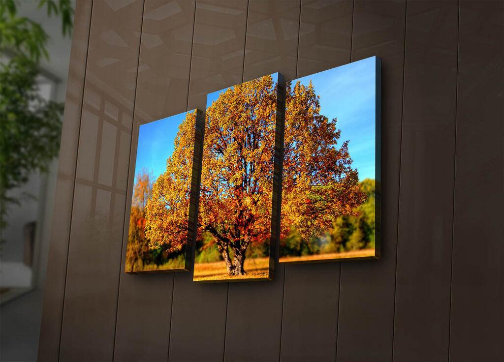 Wallity Сет Слики 5MX-1, 5 Делови