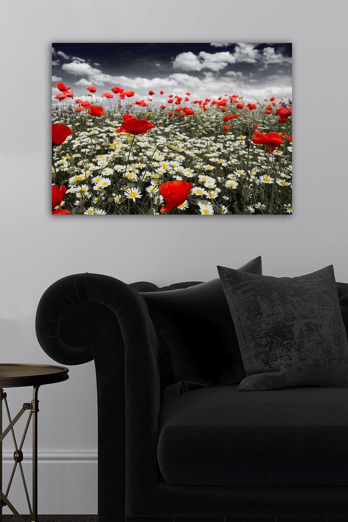 Wallity Сет Слики во Рамка 3SC_UN161162 , 3 Дела