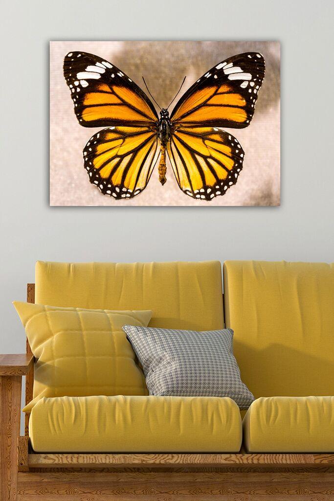 Wallity Сет Слики со LED Осветлување 3PATIACT-13, 3 Дела