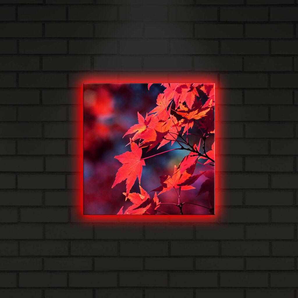 Wallity Слика 221JRS1132, 60x90 cm