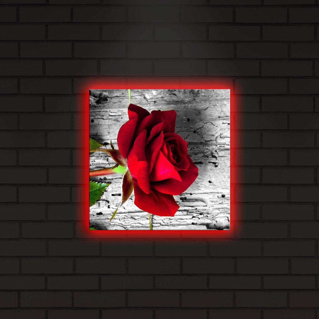 Wallity Слика со LED Осветлување 4040IACT-24, 40x40 cm