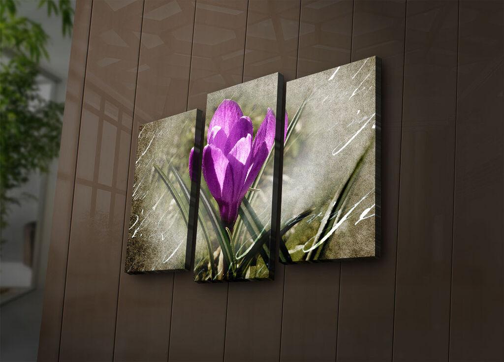 Wallity Сет Слики 5MX-14, 5 Делови