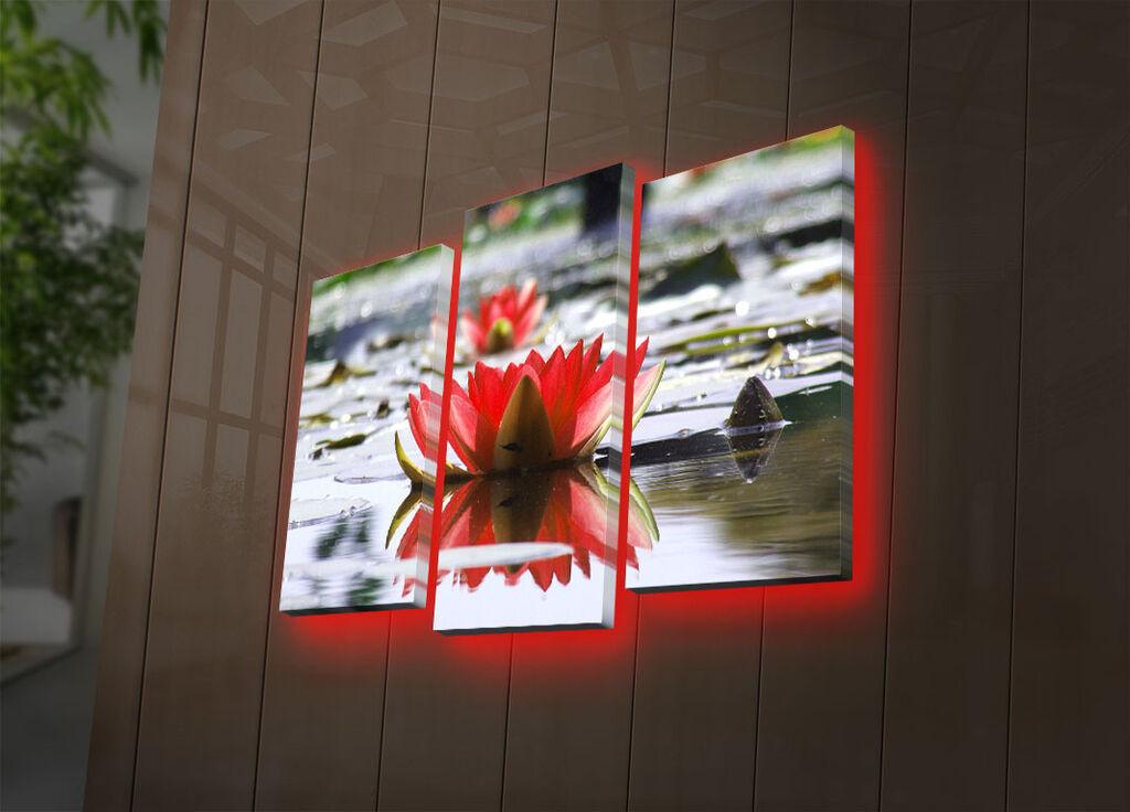 Wallity Сет Слики 5MDF4523, 5 Делови