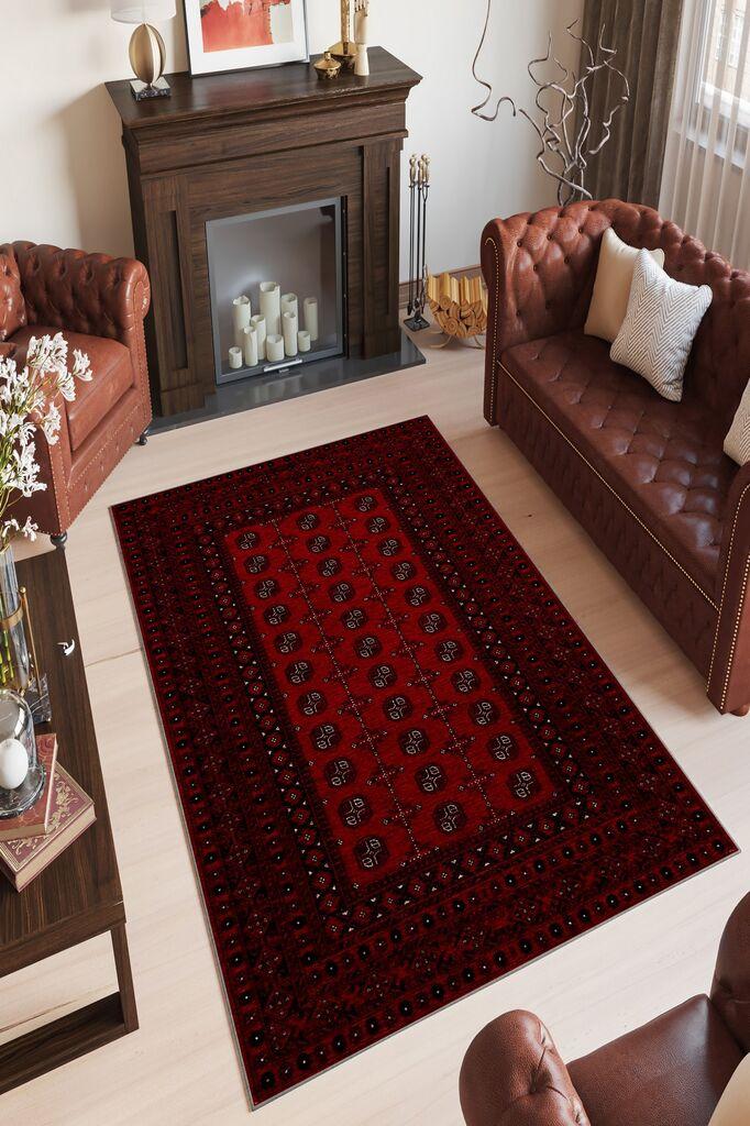 Conceptum Hypnose тепих W1088, 160x230cm, Шарена