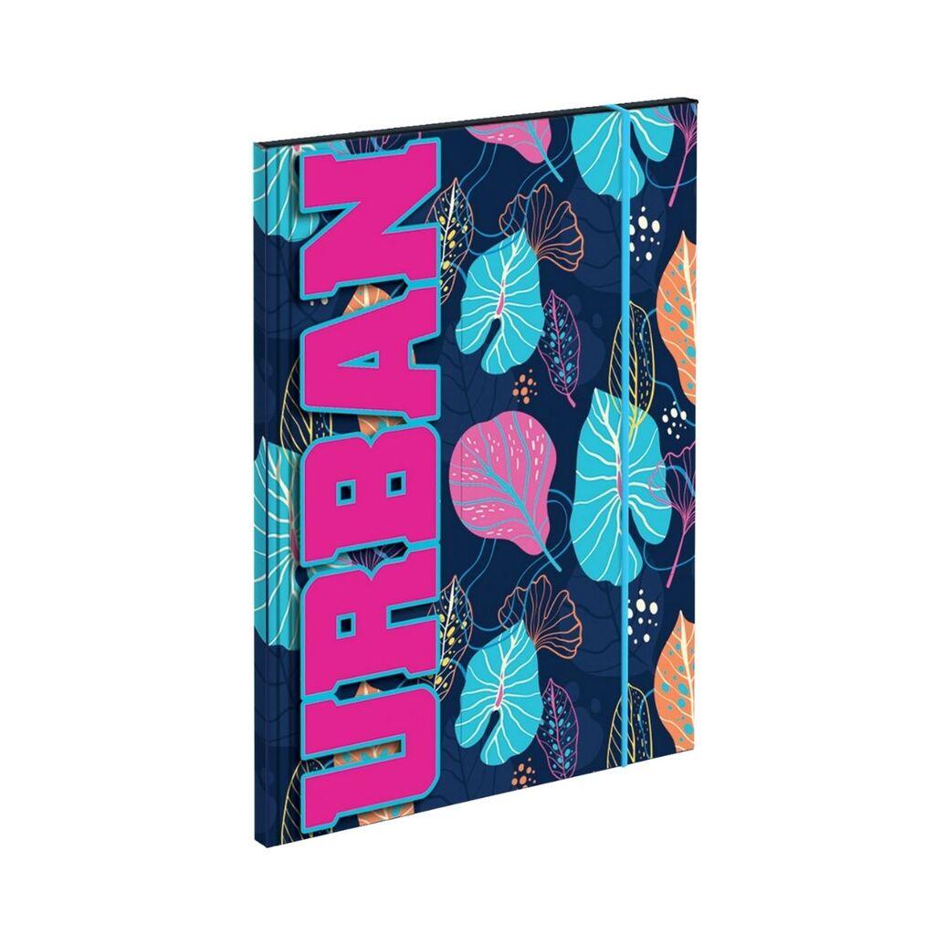 Scool Папка картонска со ластик