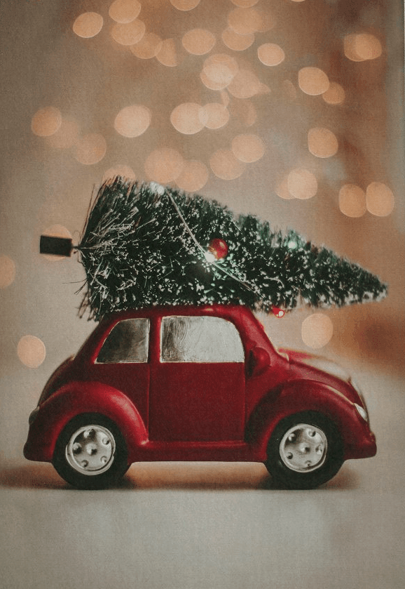 Тепих Conceptum Hypnose Woopamuk 428, 80x150 cm, Шарена