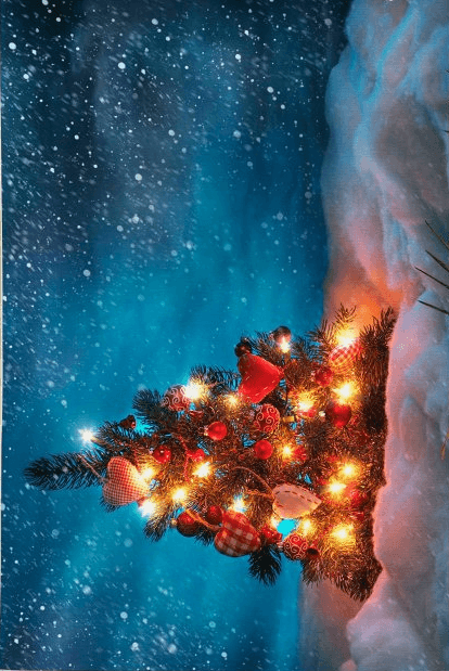 Тепих Conceptum Hypnose Woopamuk 432, 80x150 cm, сина