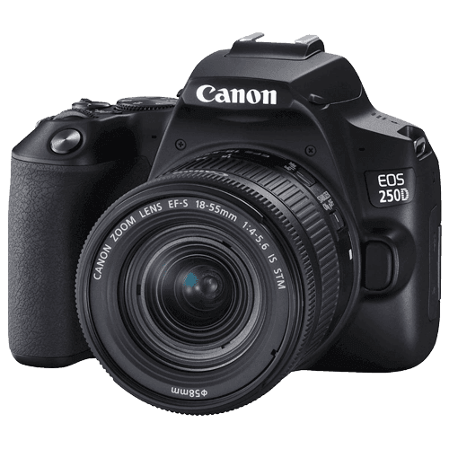 CANON Фотоапарат EOS 250D+18-55mm IS црн