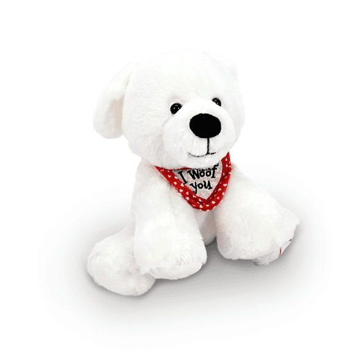 АМЕК Куче Бело