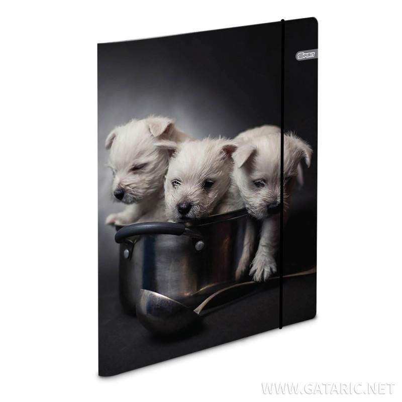 Spirit Папка со ластик