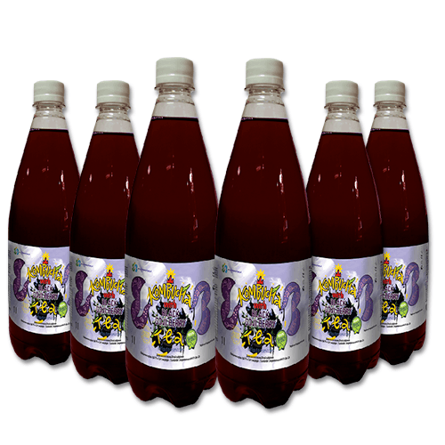 HEALTH REPUBLIC Комбуха чај Црно Гоџи Бери, 4л. + 2л.