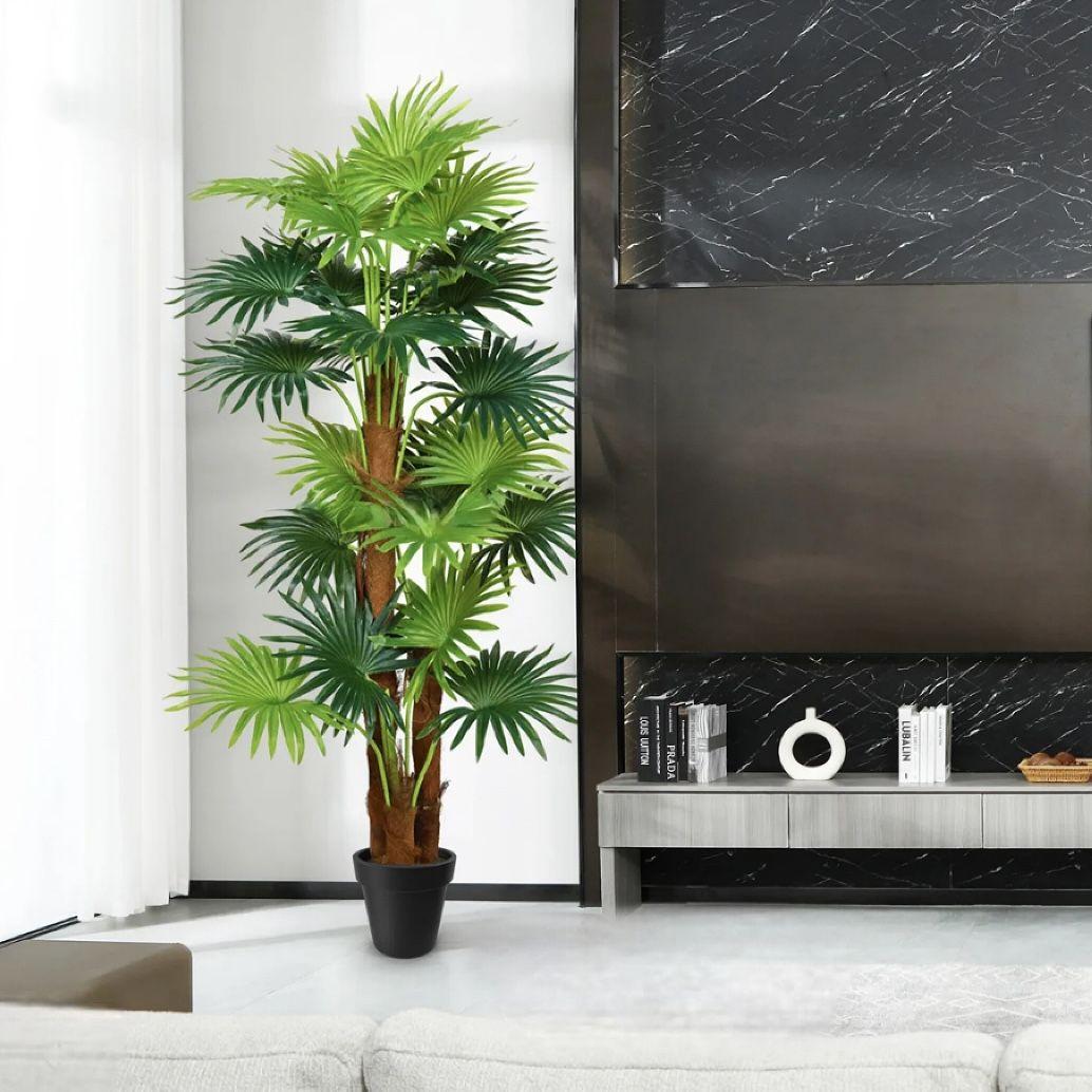 Украсно Декоративно Растение