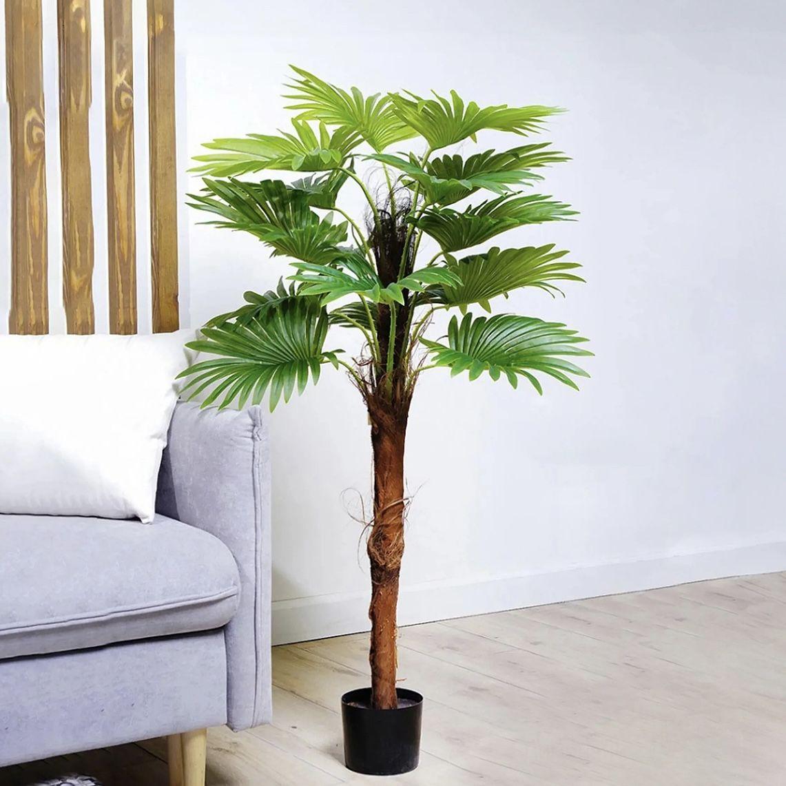 Украсна Палма