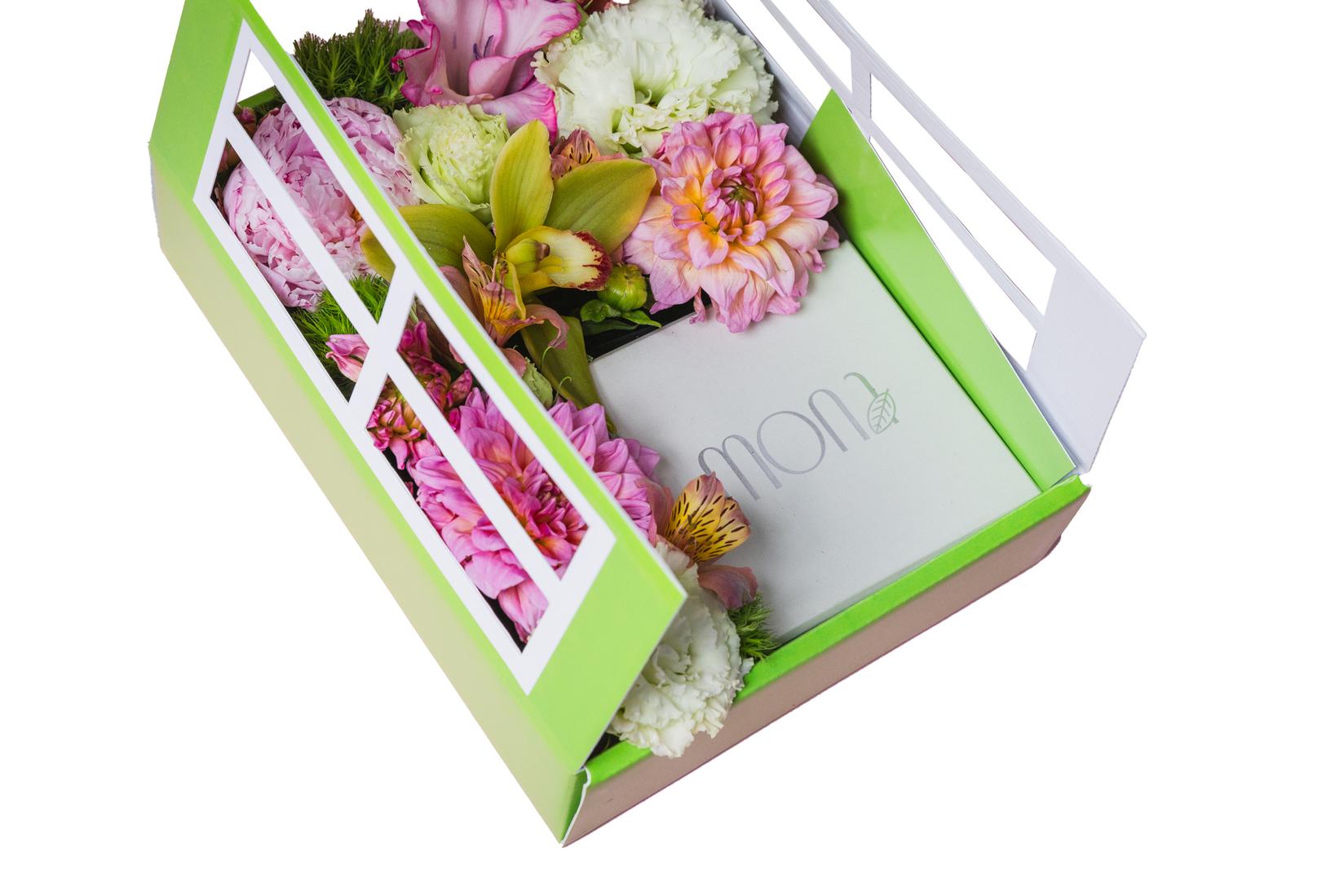 Nora package Кутија прозорец зелена