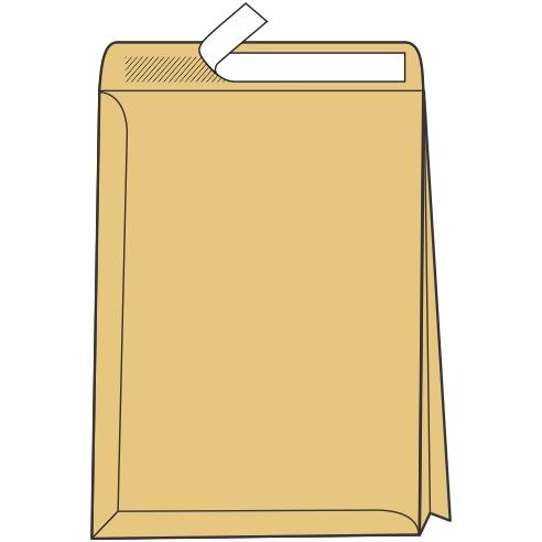 Плик со фалта 50мм Б4 250*353 105947