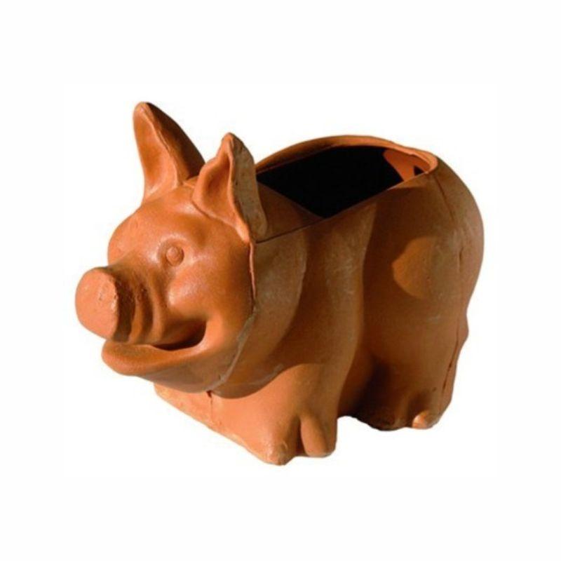 ROTO Саксија свиња-уши горе