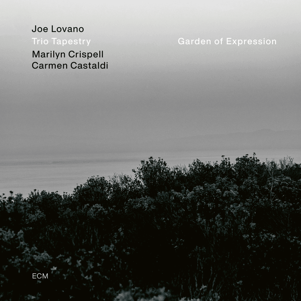 ECM Плоча Joe Lovano Trio Tapestry – Garden of Expression