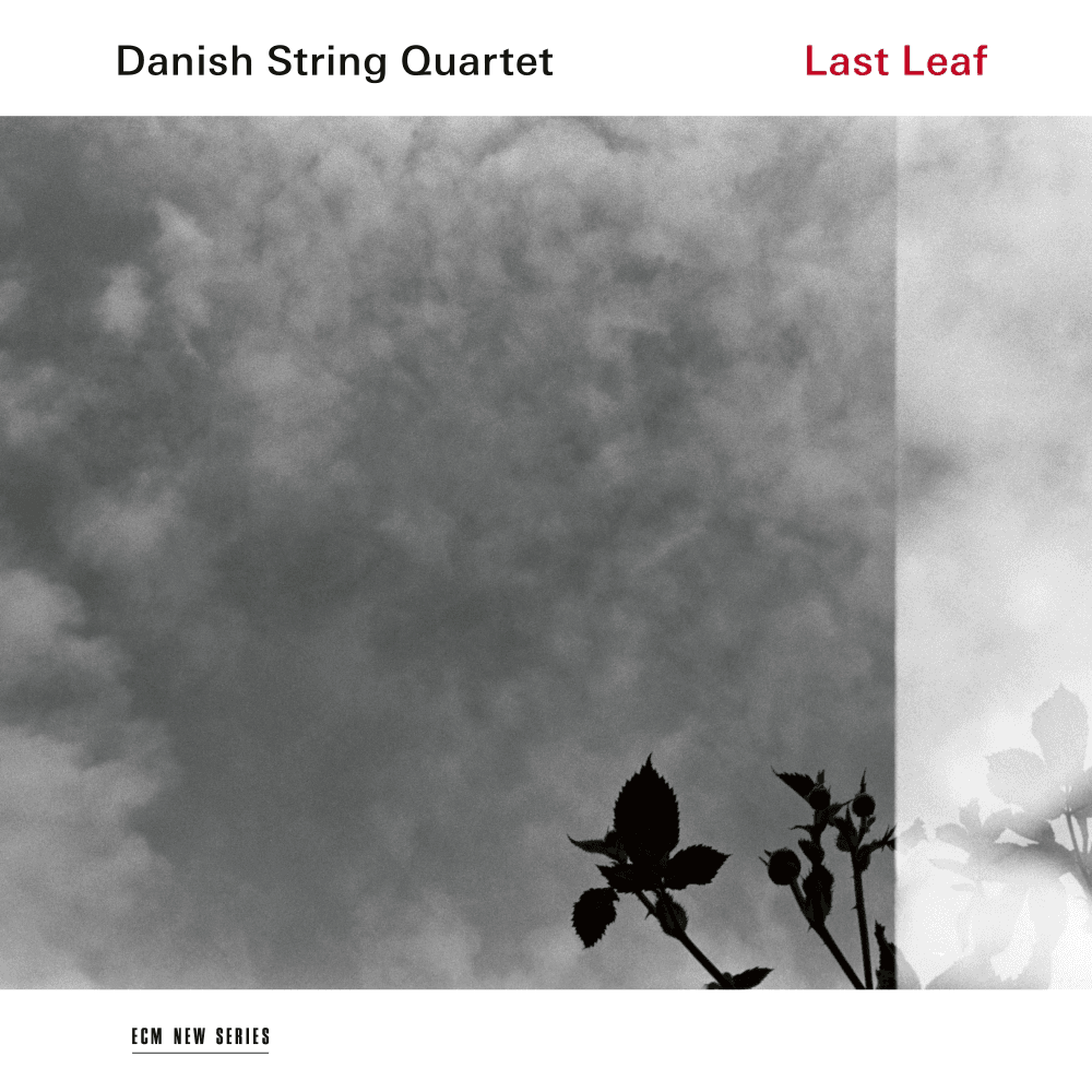 ECM Плоча Danish String Quartet – Last Leaf