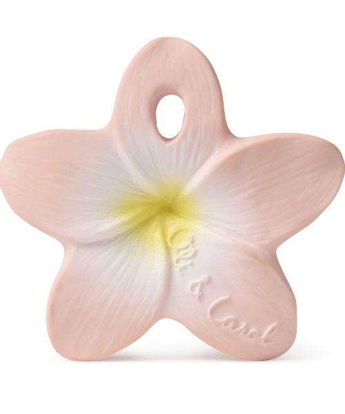 OIL & CAROL Bella the Flower