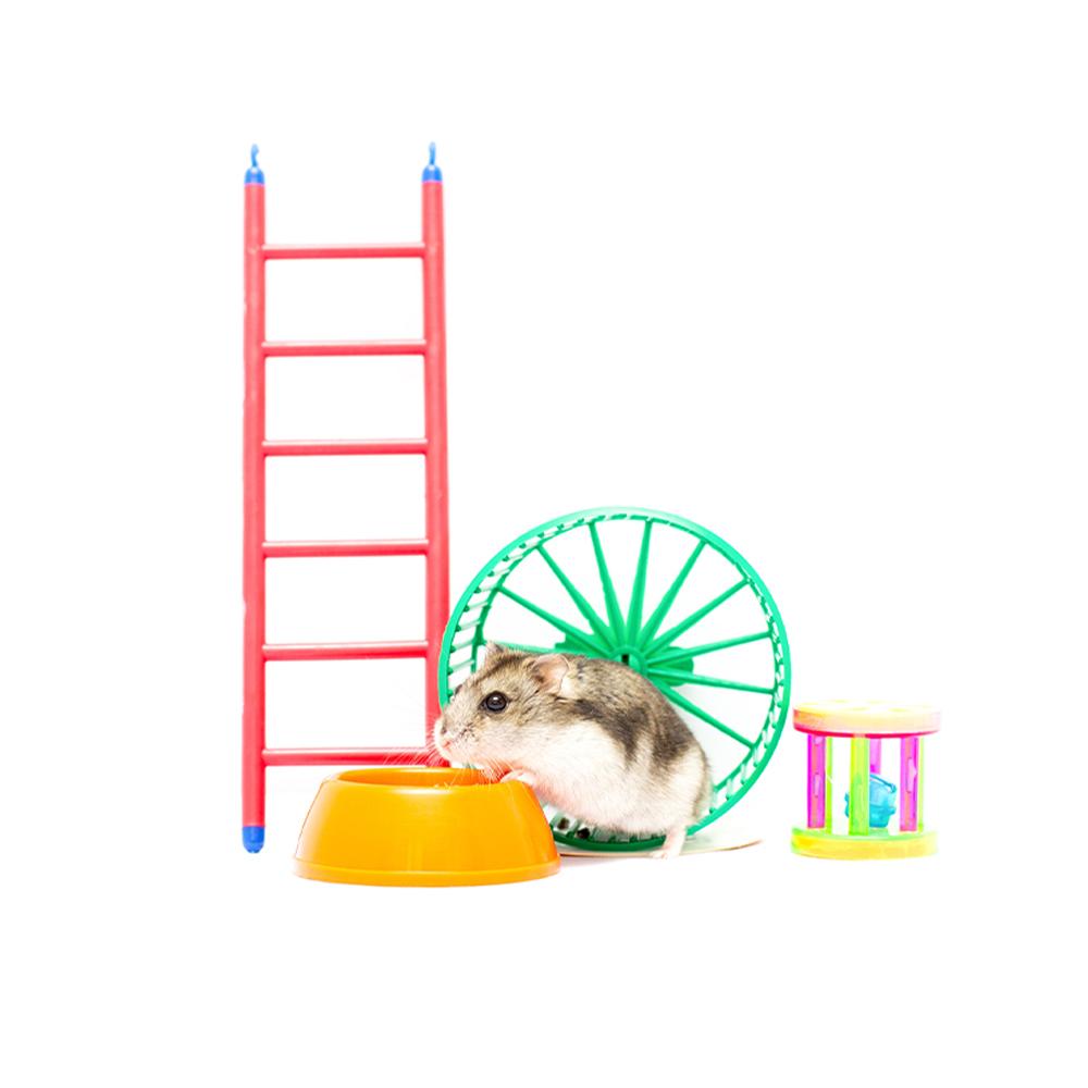 Играчки за глодари