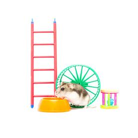 Играчки за глодари