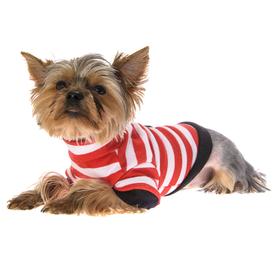 Облека за кучиња и модни додатоци