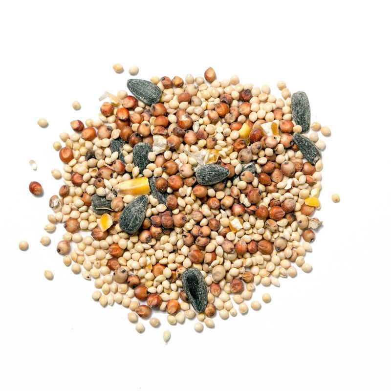 Храна за птици