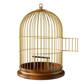 Кафези за птици