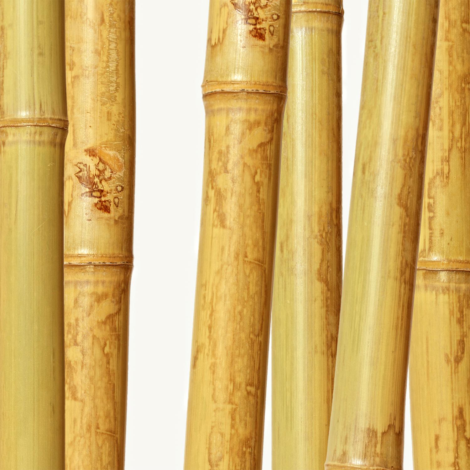 Додатоци и потпори