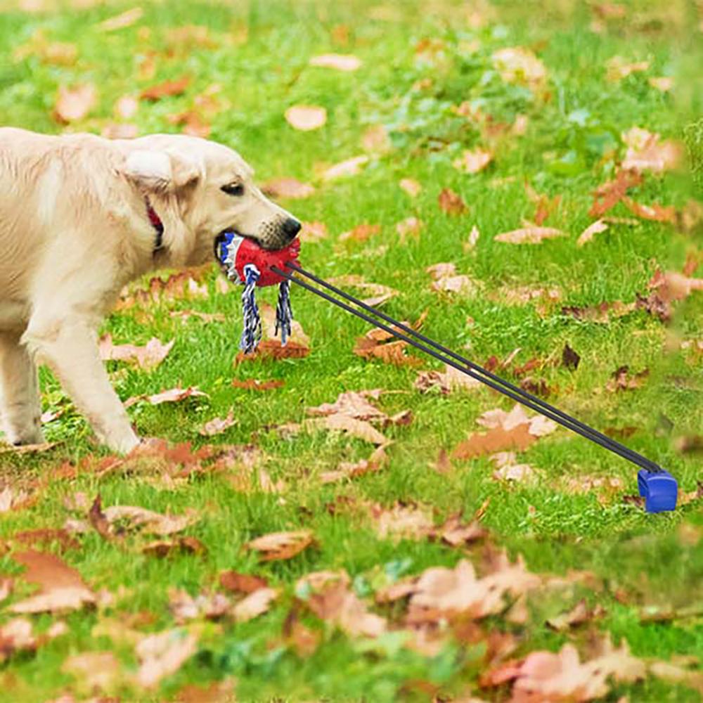 Играчка гумена топка за на ѕид за куче