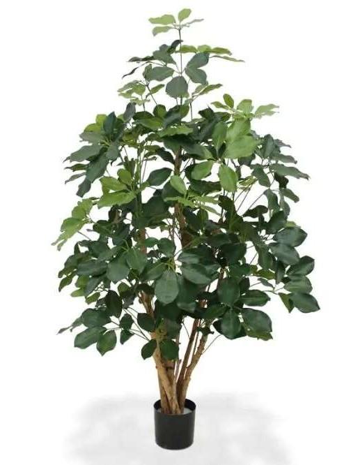 Вештачко цвеќе,Schefflera Exotica,,130312