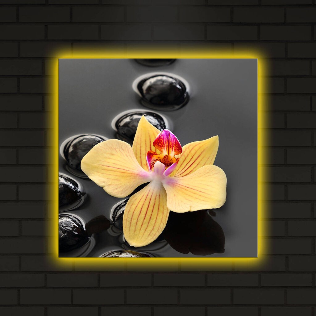 Wallity Слика 529TCR2171, 50x70 cm