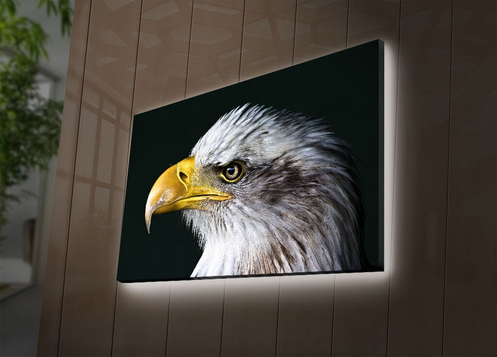 Wallity Слика 221JRS1492, 60x90 cm