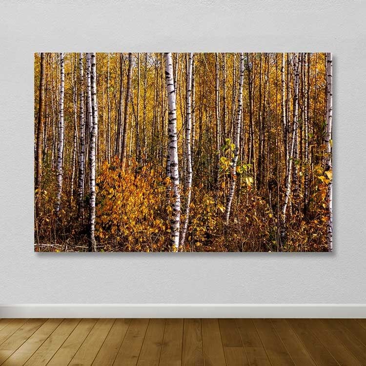 Wallity Слика KNV4539, 70x100 cm