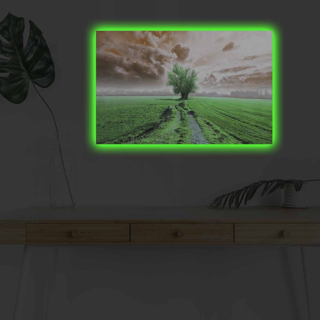 Wallity Слика BOYA-40, 45x45 cm