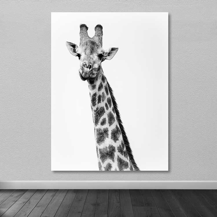 Wallity Сет Слики MDF0021, 3 Дела