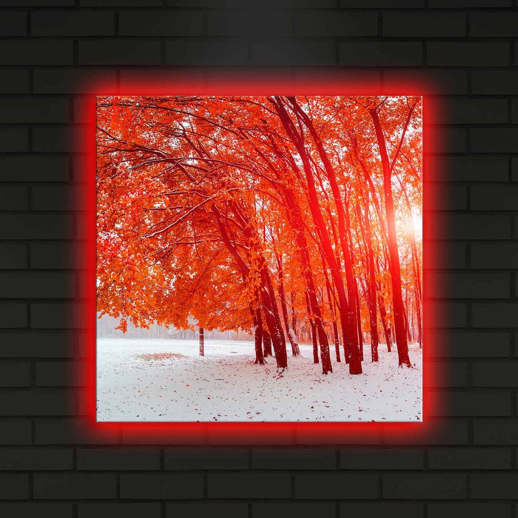 Wallity Слика 221JRS1324, 70x110 cm