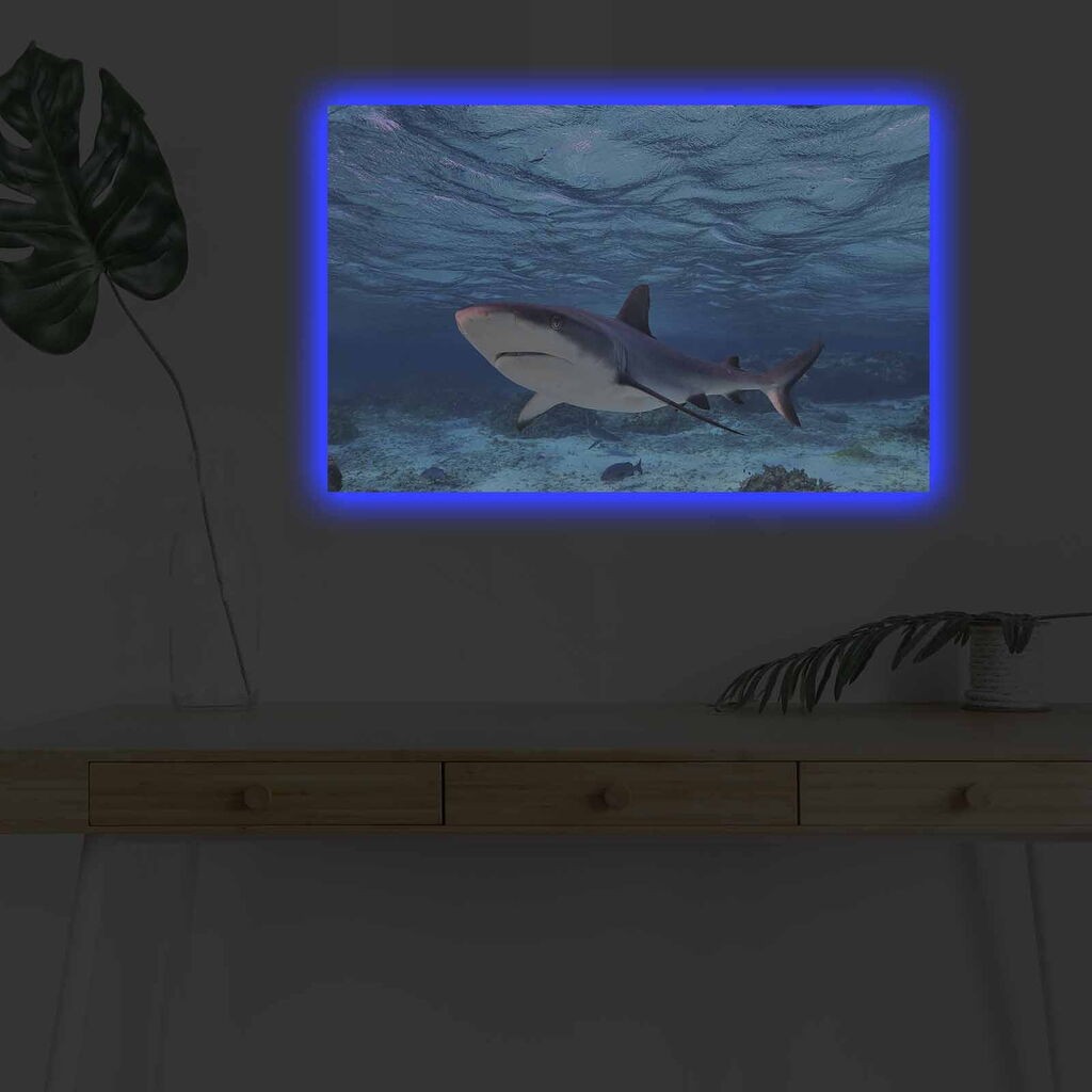 Wallity Слика BOYA-04, 45x45 cm