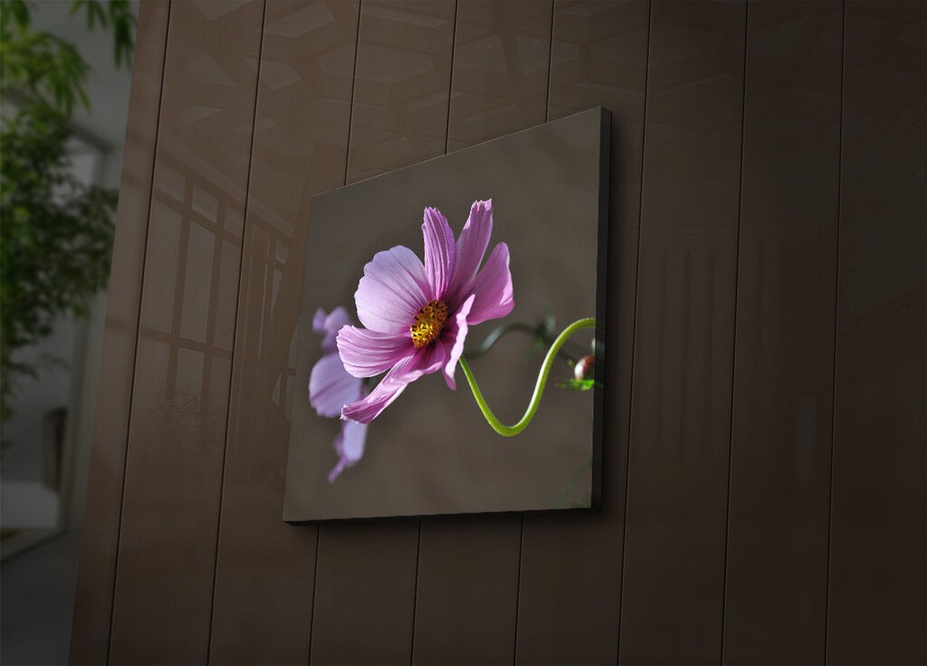 Wallity Слика 221JRS1379, 46x72 cm