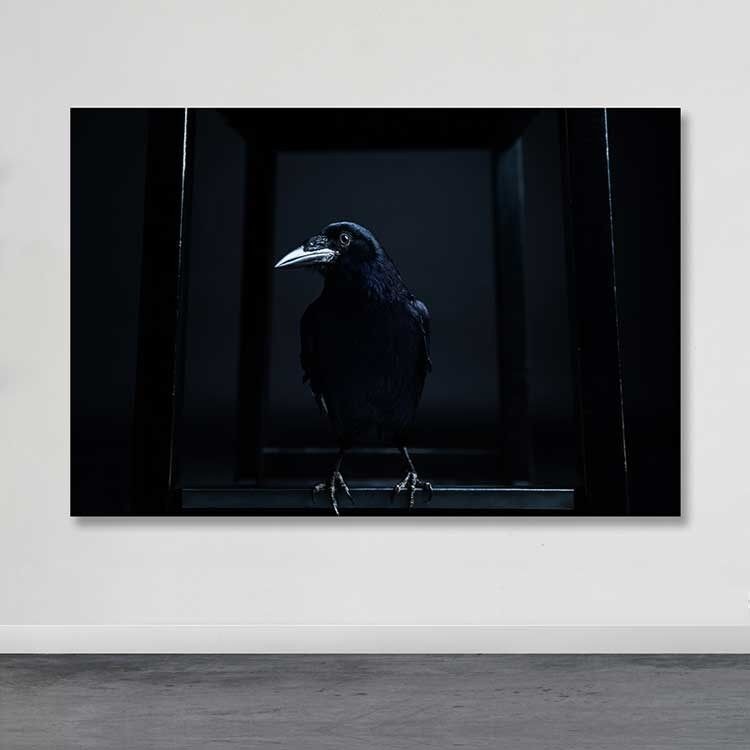 Wallity Слика KNV4506, 50x70 cm