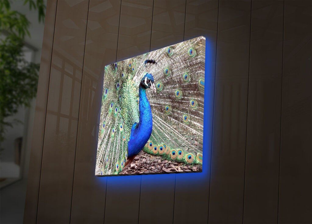 Wallity Слика 221JRS1351, 70x110 cm