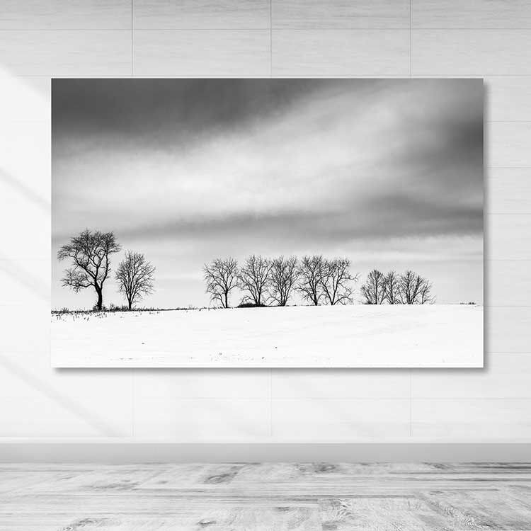 Wallity Слика DKY211415206510_50120, 50x120 cm