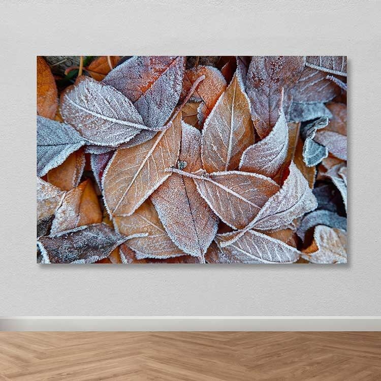 Wallity Слика KNV10108, 100x100 cm