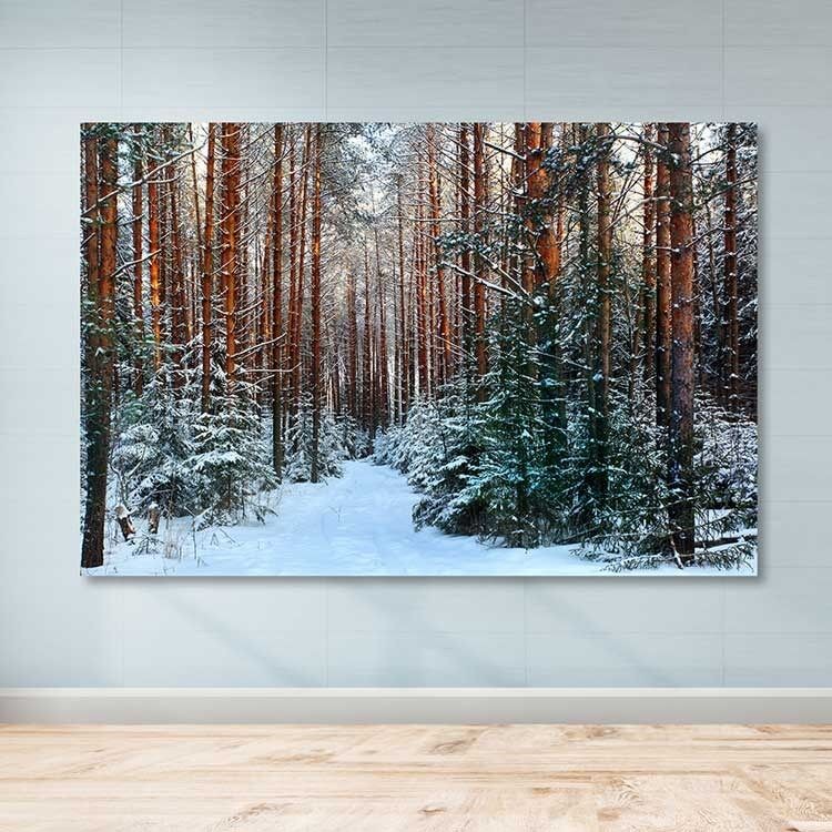 Wallity Слика DEV6700, 100x140 cm