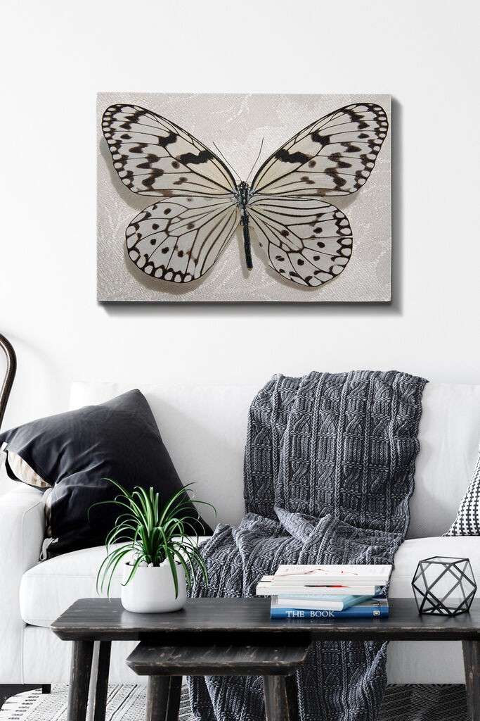 Wallity Сет Слики MDF1241189092, 3 Дела